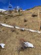 Dateiname=20240131-foux-allos-pra-loup-9107.jpg
Dateigröße=1094KB
Abmessungen: 1200x1600
hinzugefügt am: 01. Februar 2024 20240131-foux-allos-pra-loup-9107.jpg