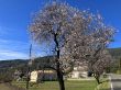 20240203-seillans-012.jpg