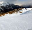 20180221-b-auron-102.jpg
