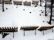 20180221-b-auron-154.jpg