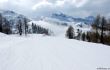 20180221-b-auron-213.jpg