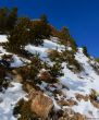 20180220-isola2000-301.jpg