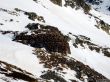 20180220-isola2000-315.jpg