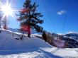 20180220-isola2000-609.jpg
