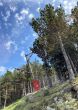 20210627-d-montventoux-057.jpg