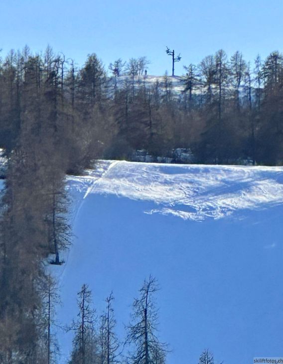 25. Februar 2026
