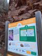 20260224-b-gorges-daluis-030.jpg