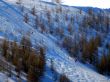 20260225-beuil-valberg-177.jpg