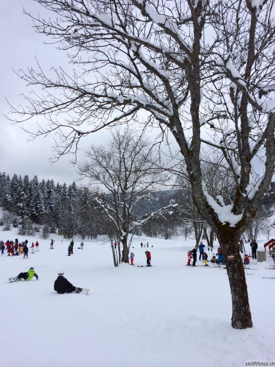 2. März 2014
