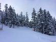 20140302-c-villard-correncon-9280.jpg