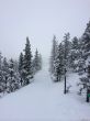 20140302-c-villard-correncon-9289.jpg