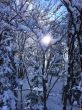 20140302-c-villard-correncon-9415.jpg