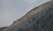 20091003-h-isola-0214.jpg