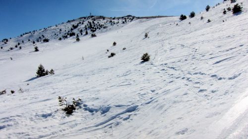 27. Februar 2012
