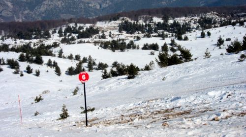 27. Februar 2012
