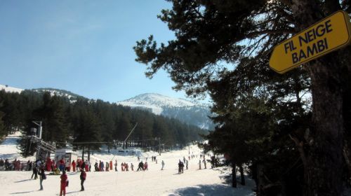 27. Februar 2012
