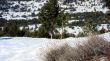 20120227-greolieres-0065.jpg