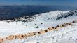 20120227-greolieres-0141.jpg
