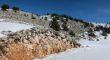 20120227-greolieres-0193.jpg