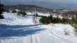 20120227-greolieres-0220.jpg