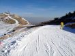 20120227-greolieres-0224.jpg