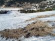 20120227-greolieres-0232.jpg