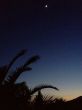 20120227-greolieres-0244.jpg