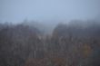 20131015-b-haystack-0122.jpg