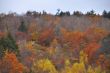 20131015-c-hogback-0202.jpg