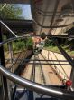 20170712-b-mondovi-037.jpg