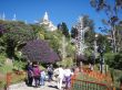 20121229-bogota-monserrate--bogota-monserrate-080.jpg