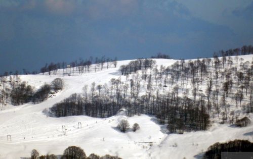 20180212-c-mondoleski-562.jpg