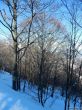 20180212-c-mondoleski-362.jpg
