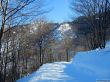 20180212-c-mondoleski-363.jpg