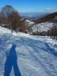 20180212-c-mondoleski-366.jpg
