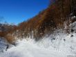 20180212-c-mondoleski-382.jpg