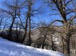 20180212-c-mondoleski-391.jpg