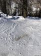 20180212-c-mondoleski-394.jpg