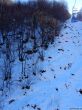 20180212-c-mondoleski-418.jpg