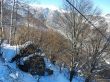 20180212-c-mondoleski-437.jpg