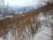 20180212-c-mondoleski-738.jpg