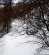 20180212-c-mondoleski-749.jpg