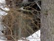 20180212-c-mondoleski-750.jpg