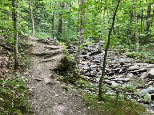 Sutton, Québec, 11. Juli 2022
