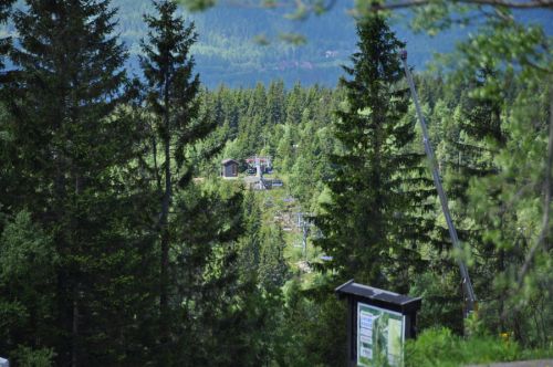 Oslo Vinterpark, Juni 2013
