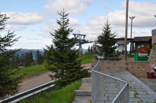 Oslo Vinterpark, Juni 2013
