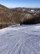 20180213-b-sangiacomo-171.jpg