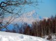 20180213-b-sangiacomo-201.jpg
