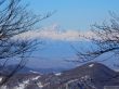 20180213-b-sangiacomo-244.jpg