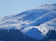 20180213-b-sangiacomo-267.jpg